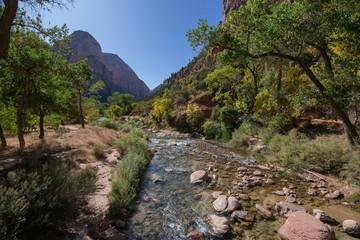 Zion National Park - River