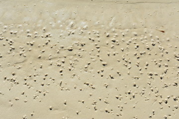 pebbles