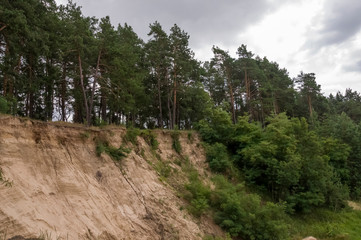 Sand quarry in the forest. Breakage or precipice, fall... Summer landscape