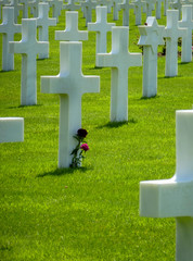 Graveyard Crosses with Flower