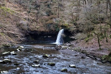 waterfall in the forest