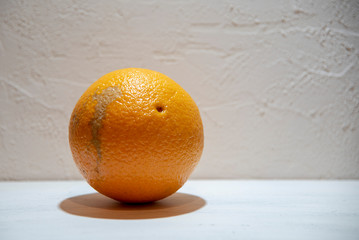A bright large orange against a light textured wall.