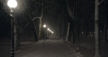 Illuminated park walkway with street lights on winter night - Powered by Adobe