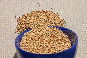 Green buckwheat in blue porcelain bowl, natural shadow.Dry unroasted whole grain superfood flat lay.Organic healthy food, weight loss, reduce inflammation,help manage diabetes,maintaining heart health
