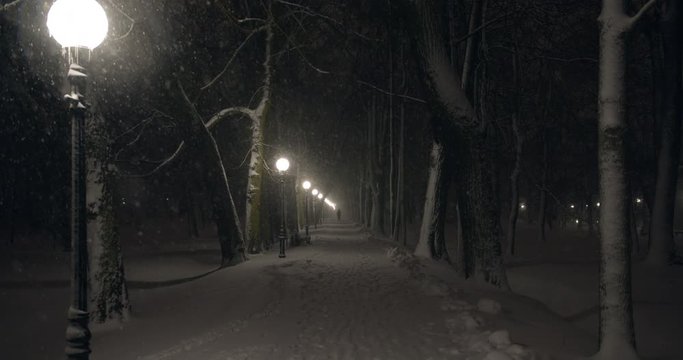 Illuminated park walkway with street lights on winter night