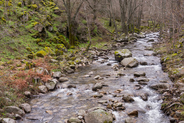 Hiking routes through the Iruelas Valley (Sierra de Gredos) next to the river. Avila (Spain)
