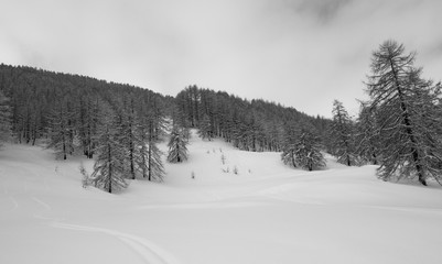 ski tour in Maira Valley