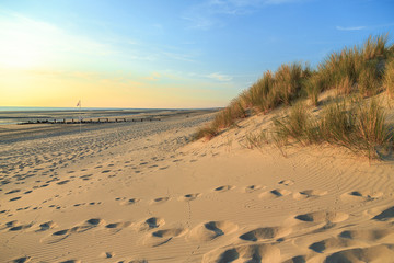 Sunlight over sand path to North sea beach, France