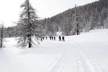 ski tour in Maira Valley