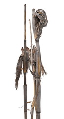 Dried corn stalks, wilted maize leaves isolated on white background and texture, clipping pat