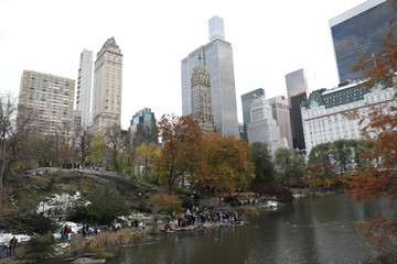 Fototapeta na wymiar View of Central Park in New York