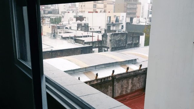 View of the Villa Crespo neighborhood from a window of a Residential Apartment in Buenos Aires, Argentina. Rainy Day.