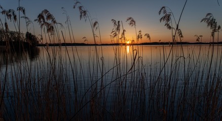 Trzciny na tle zachodzącego słońca nad jeziorem. Warmia i Mazury. Polska © Marcinwarmia
