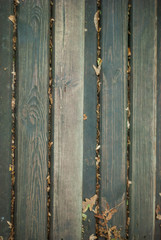 Textural gray wooden background