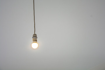 bulb