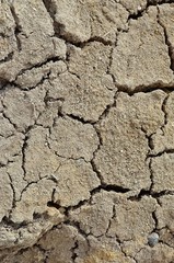 dry cracked earth