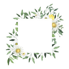 Fototapeta na wymiar Watercolor summer floral fields frame with daisy narcissus flowers greenery leaves foliage isolated. Floral spring frame blossom boho illustration wedding invitation save the date card