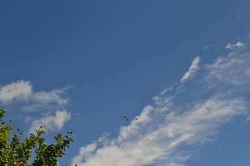 sky, blue, cloud, clouds, nature, white, day, air, cloudscape, summer, weather, fluffy, sun, skies, clear, cloudy, space, heaven, light, blue sky, landscape, atmosphere, outdoors, sunny, view