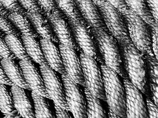 Black and white picture of a problem rope