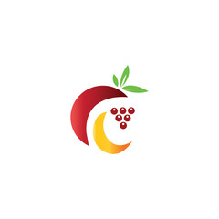 Illustration of fruit logo color vector design