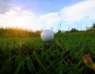 White golf ball on the tee On the beautiful lawn background of the athletes who will start the competition