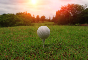 The white golf ball on the tee stand closely