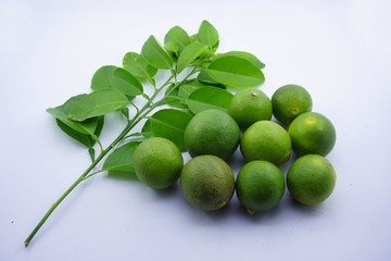 Jeruk Nipis (Citrus aurantiifolia) 