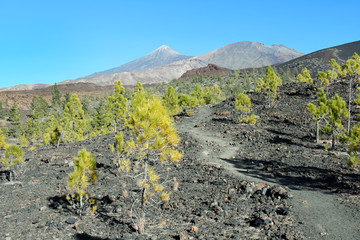 Espagne, tenerife, la montagne Samara avec la vue sur le El TEede