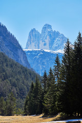 Im Hintergrund ragen die Dolomiten zwischen Bäumen hinauf