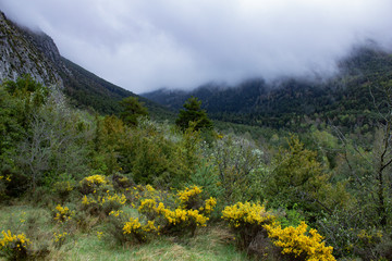 Fototapeta premium The Pyrenees Mountains in the North of Spain