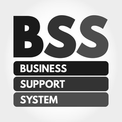 BSS - Business Support System acronym, business concept background