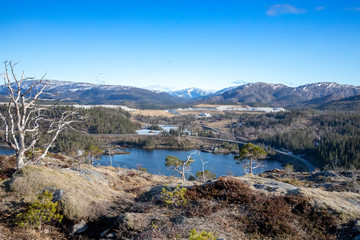 Spring in Velfjorden Brønnøy municipality. Nordland county in northern Norway