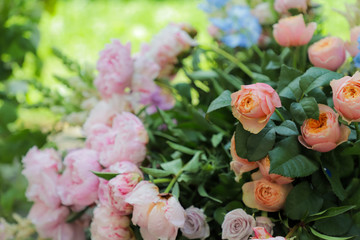 Very beautiful garden roses in pink and orange.