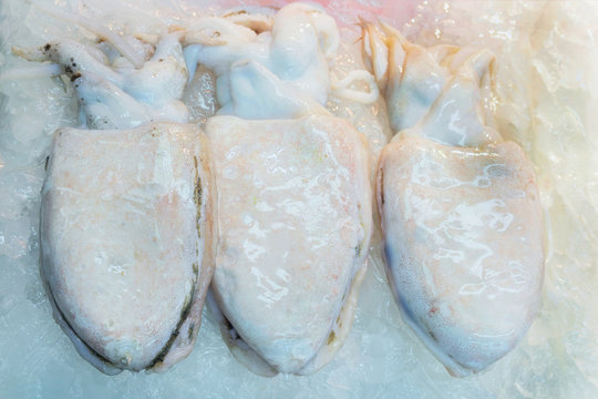 Sale of Fresh calamary in fish market in Busan