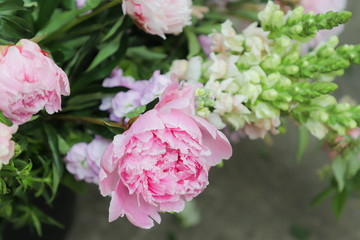 Beautiful delicate pink peonies close-up on a green background. Summer.