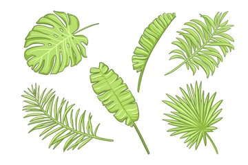 Fototapeta na wymiar Set of green exotic leaves. Design elements in cartoon style