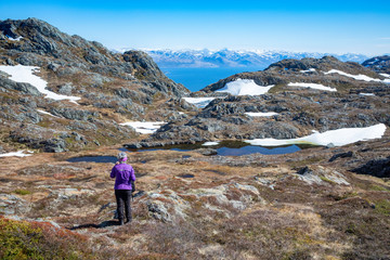 Obraz premium Spring hike on Mo mountain in Brønnøy municipality. Nordland county in northern Norway