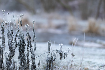Winterlandschaft