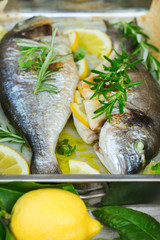 Fresh grilled roasted dorado fish with lemon, rosemary on table