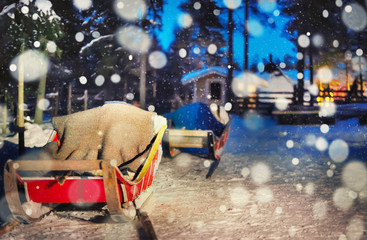 Reindeer sledding in night safari farm in Rovaniemi snowfall