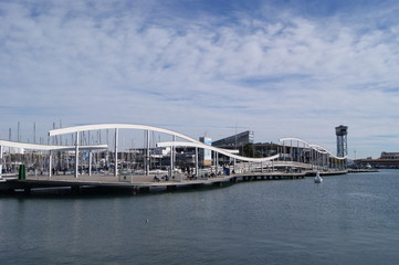 Naklejka premium bridge over the river