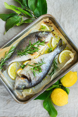 Fresh grilled roasted dorado fish with lemon, rosemary on table