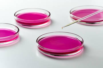 Closeup of a glass dropper with a drop of liquid