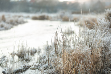 Fototapeta premium Winter river