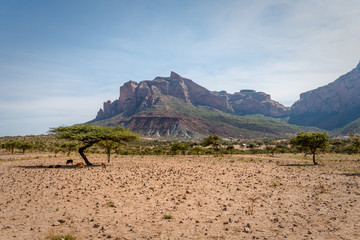 Plateau of the southern Tigray region, near Gheralta church cluster