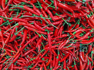 Fototapeta premium red hot chili peppers