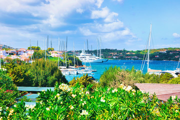 Luxury yachts at harbor in Porto Cervo Sardina