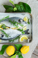 Fresh raw dorado fish with lemon, rosemary on kitchen table