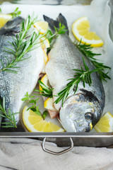 Fresh raw dorado fish with lemon, rosemary on kitchen table