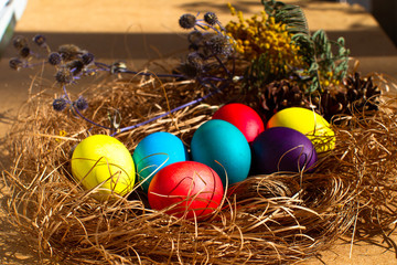 Painted Easter eggs in a nest of straw. Sunlight. Easter still life. - 336482766